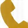 Phone icon